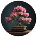 Bonsai Tree Live (@bonsaitreelive) Twitter profile photo Bonsai Tree Live (@bonsaitreelive) Twitter profile photo