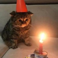 Ezgiş🧚🏻♀️🦋🦄🦚✨🌞🌸🌈 (@ezgisingunlugu) 's Twitter Profile Photo Ezgiş🧚🏻♀️🦋🦄🦚✨🌞🌸🌈 (@ezgisingunlugu) 's Twitter Profile Photo
