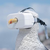 Robin Rombach (@robrombach) 's Twitter Profile Photo Robin Rombach (@robrombach) 's Twitter Profile Photo