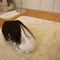 🍉子供がふざけてるの好き🍉 (@vitalin90533132) Twitter profile photo