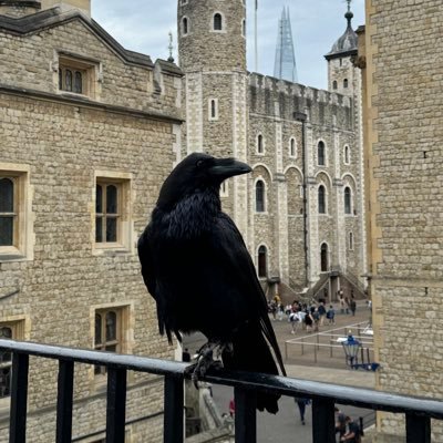 HanBee96's profile picture. 