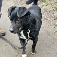 Sylwia (@sylwia691740277) 's Twitter Profile Photo Sylwia (@sylwia691740277) 's Twitter Profile Photo