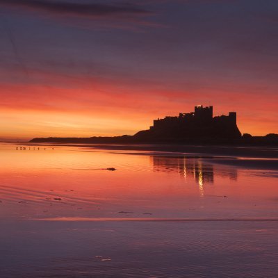 oferdv6's profile picture. טריפוליטאי (לוב) 
מנתניה