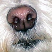 lara0511 (@lara053) 's Twitter Profile