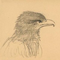 Gil-Martin (@robertwringhim) 's Twitter Profile