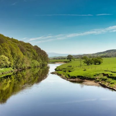 priyami00835074's profile picture. 