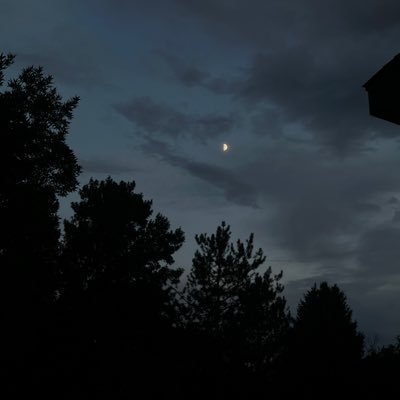 kyle_bangs's profile picture. 28