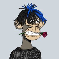 Nft shib (@nftshib268712) Twitter profile photo