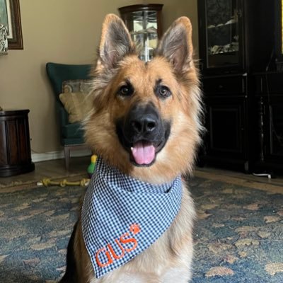 Auburn Alumna | Texan | LSU Mom | UCF Mom| Gus’s Mom | War Eagle Always | 🧡💙