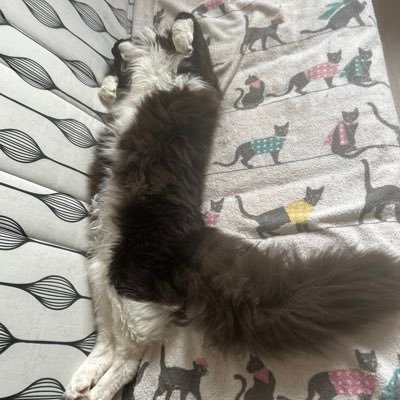 fifine017's profile picture. j’adore le sport, les jeux vidéo, la musique, la mode, vins et gastronomie et les sorties en famille LYON