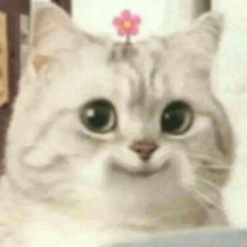 pepperandpeppa's profile picture. 