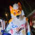 Dex (Shirou) (@wolfie_626) Twitter profile photo Dex (Shirou) (@wolfie_626) Twitter profile photo