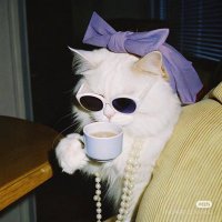 Ilgınn (@glserlgn) Twitter profile photo