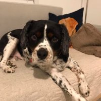 Louise Proud (@louiseproud3) 's Twitter Profile