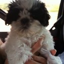 Jennie Freeman - @Freejennie - Twitter