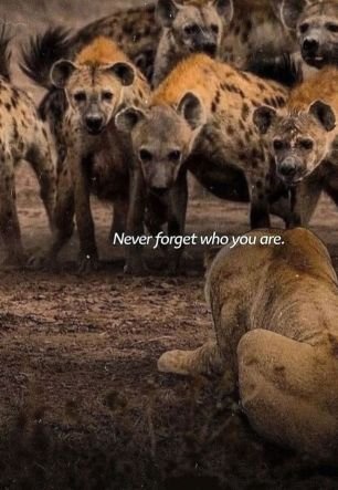 You are never too old to set another goal or dream a new dream .👌🏿✌🏿