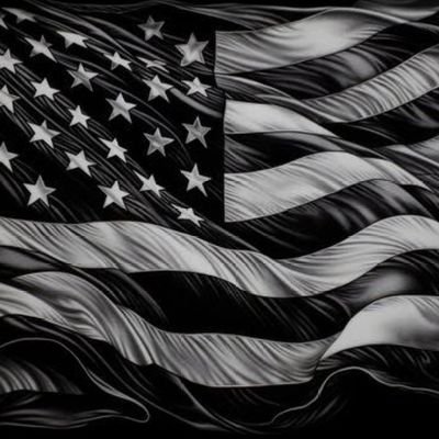 usarmynguyen's profile picture. 