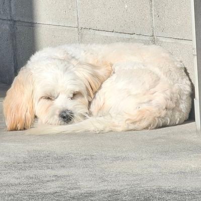 中盛ごはんさんのプロフィール画像