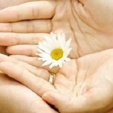 HoangDo44533984's profile picture. 