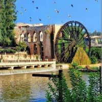 Hassan.matar (@hmatar1289) 's Twitter Profile