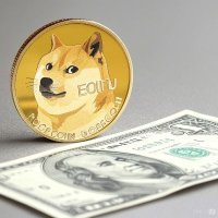 Doge to 1 (@martinliu1820) 's Twitter Profile
