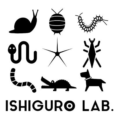 Assistant professor at Ishiguro lab., Tohoku University, Japan.