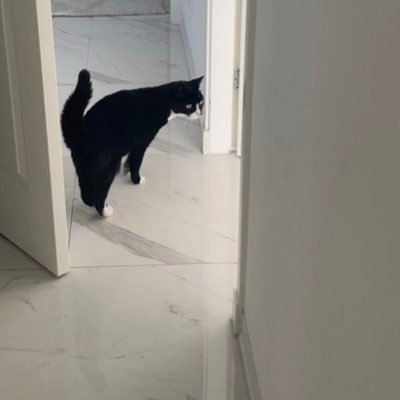 lor_to_'s profile picture. 