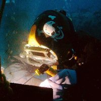 The Bottom Walker ⛓⚓️ (@thebottomwalker) 's Twitter Profile