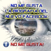 the_thehacker's profile picture. 