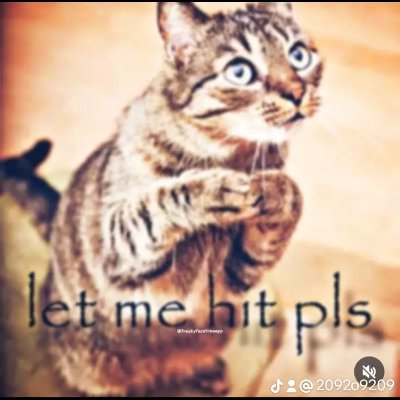 davidlovscats's profile picture. 