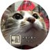 DJ全力(死者の書のしもべ・小説家 伊集院アケミ) (@valuer5460) Twitter profile photo DJ全力(死者の書のしもべ・小説家 伊集院アケミ) (@valuer5460) Twitter profile photo