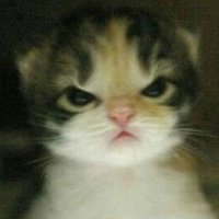 Melo ๐ซ (@crescentmoonzs) 's Twitter Profile Photo Melo ๐ซ (@crescentmoonzs) 's Twitter Profile Photo
