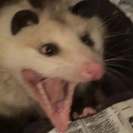 implayindead's profile picture. 🔞NO KIDS! - 22 - 🏳️‍🌈 - ranting and nsfw