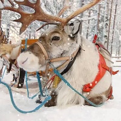 trivial1life's profile picture. no words