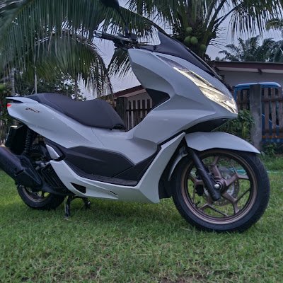 PaksPhsin79007's profile picture. 