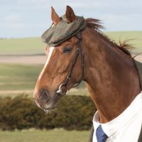 Chrollo Qilin (@notazmxr) 's Twitter Profile Photo