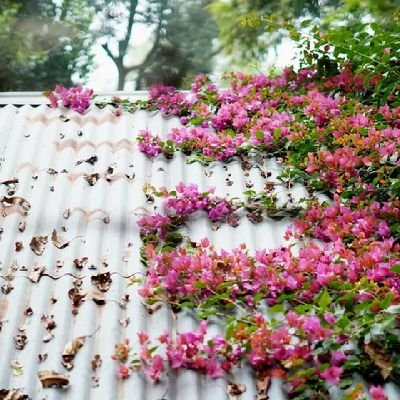 __rabeyaislam's profile picture. 