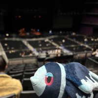 ぷかぷかネオラント (@neolant_puka) 's Twitter Profile