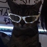 묘 (@myommww) 's Twitter Profile