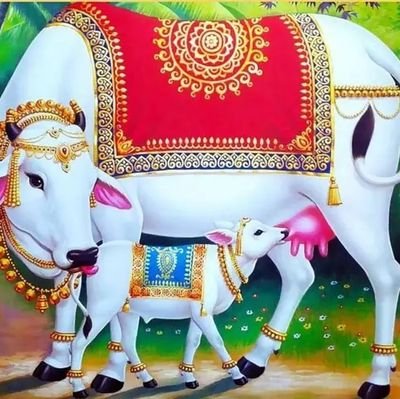 RohitPatrakaar's profile picture. रोहित शुक्ला( पत्रकार)