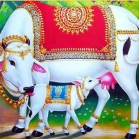 राष्ट्रीय गौ रक्षक संघ शाहजहांपुर उत्तर प्रदेश (@rohitpatrakaar) 's Twitter Profile