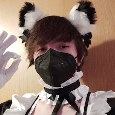 Kaito π¦πΉ Profile