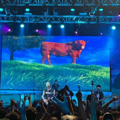 MetalEl10's profile picture. Exigir.