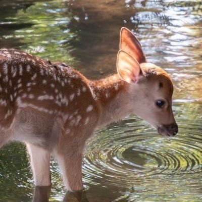marinahさんのプロフィール画像