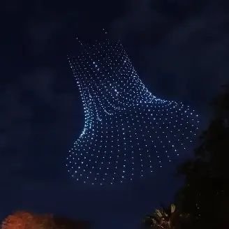 afsharesho34359's profile picture. در اندیشه ی دریدن