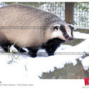 Jasper Shirley - @JasperShirley - Twitter