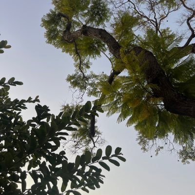 lajdhfks's profile picture. 