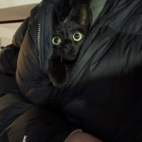 jakub (@2001kubki) 's Twitter Profile