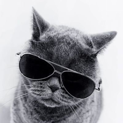 13EMMz's profile picture. 𓃠