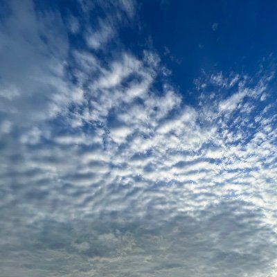 redentojoseph's profile picture. 